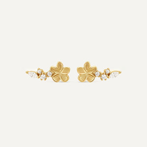 Boucles d'oreilles grimpantes Suzanne