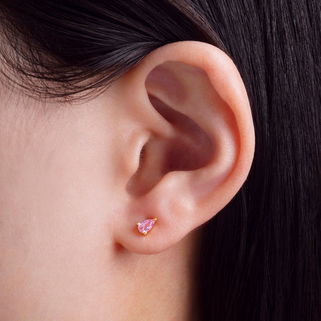 Puce d'oreille Morgana