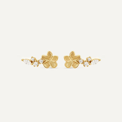 Ear climbers Suzanne