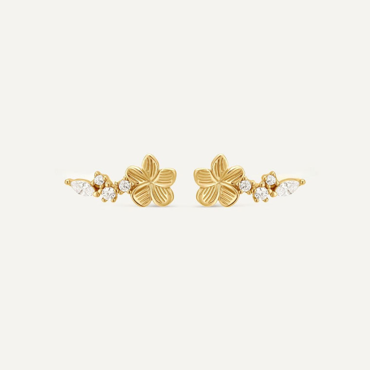 Ear climbers Suzanne