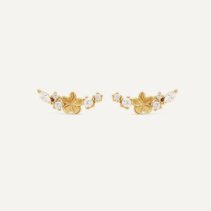 Boucles d'oreilles grimpantes Jeanne