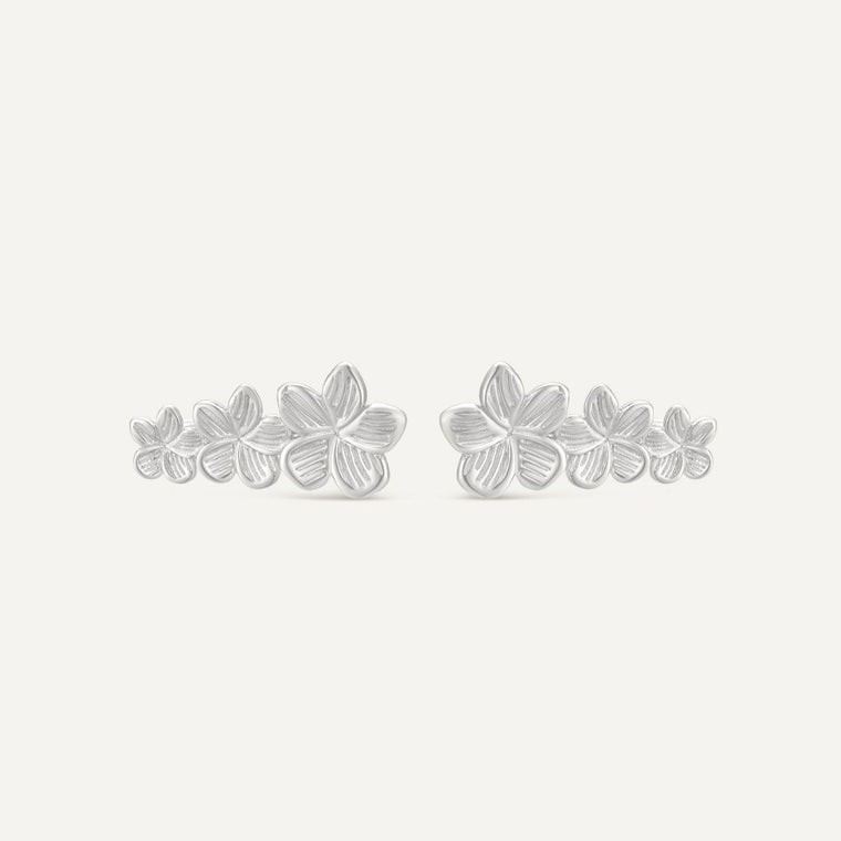 Boucles d'oreilles Noé