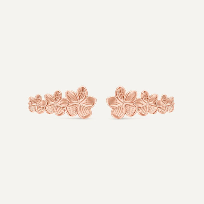 Boucles d'oreilles Noé