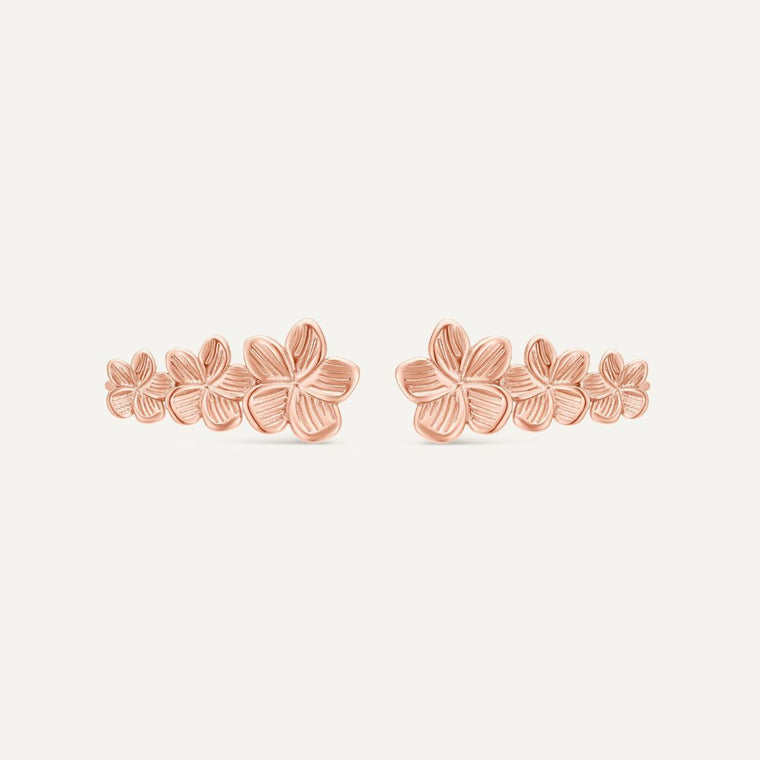 Boucles d'oreilles Noé