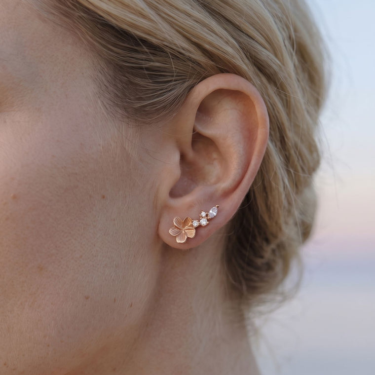 Ear climbers Suzanne