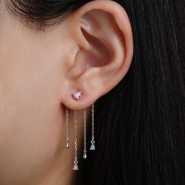 Puce d'oreille Morgana