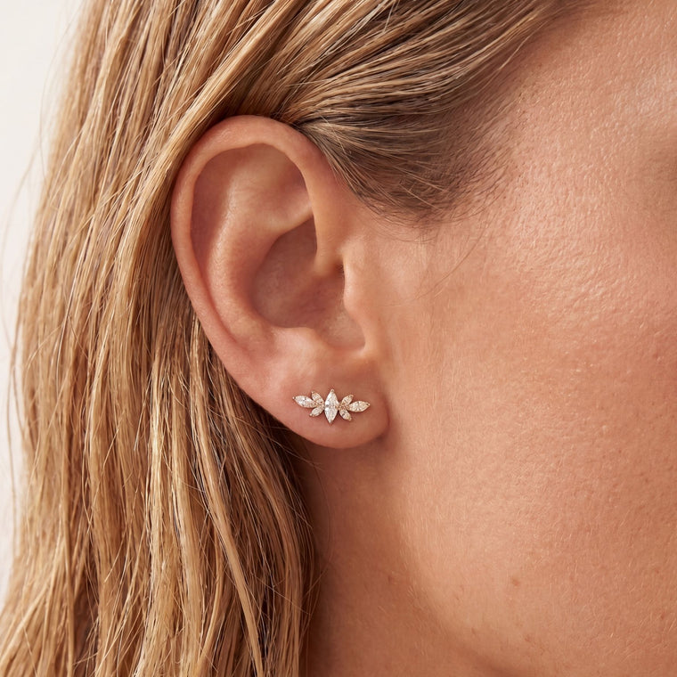 Stecker Blossom