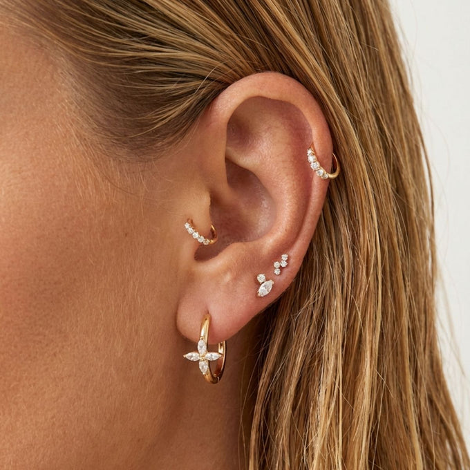 Piercing Aella