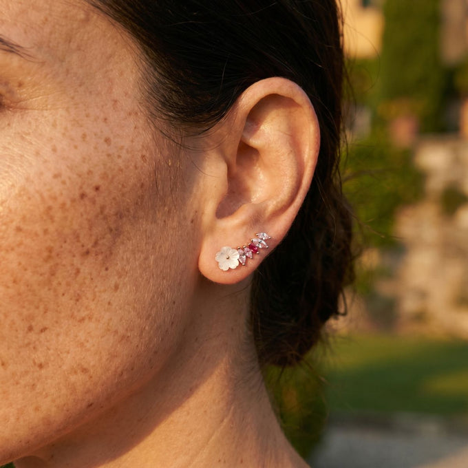 Ear climbers Gemma
