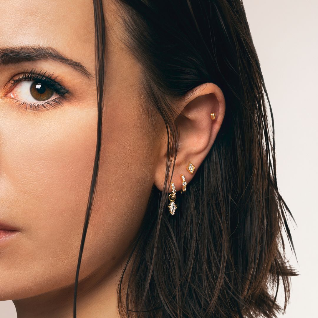 Puce d'oreille Calista