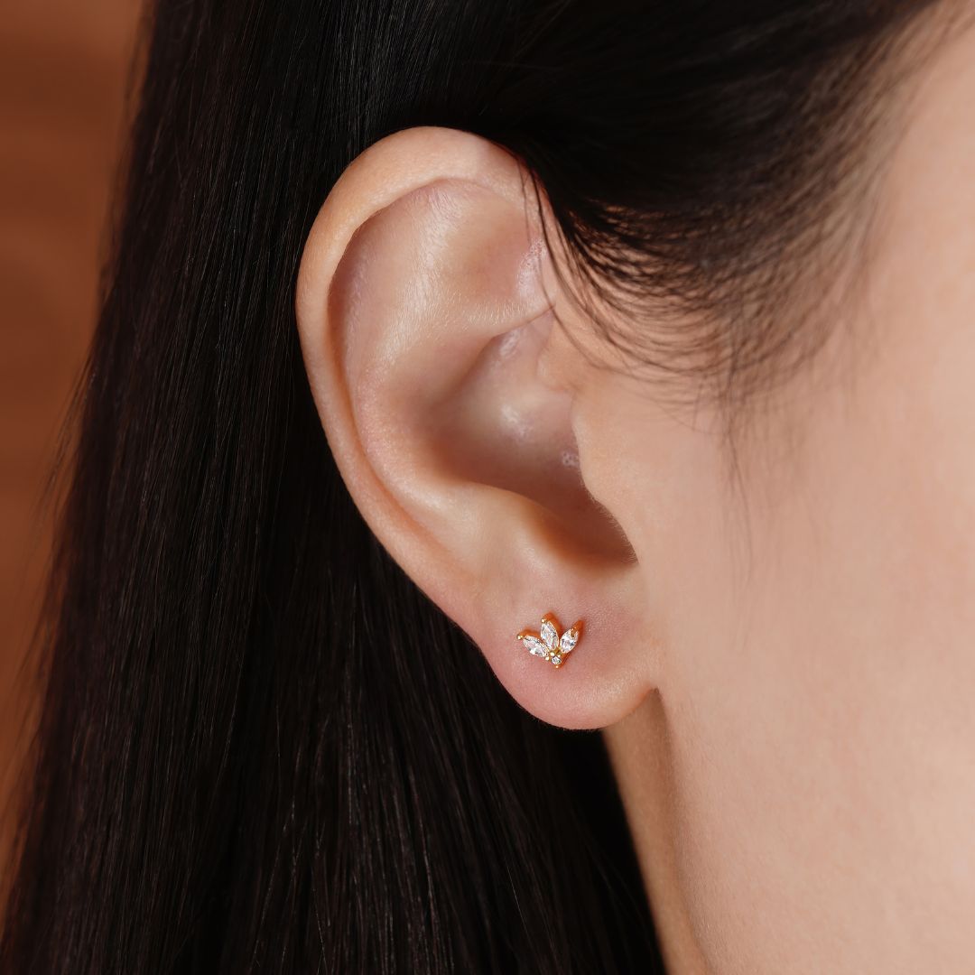 Puce d'oreille Lily