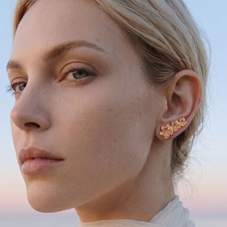 Boucles d'oreilles Noé