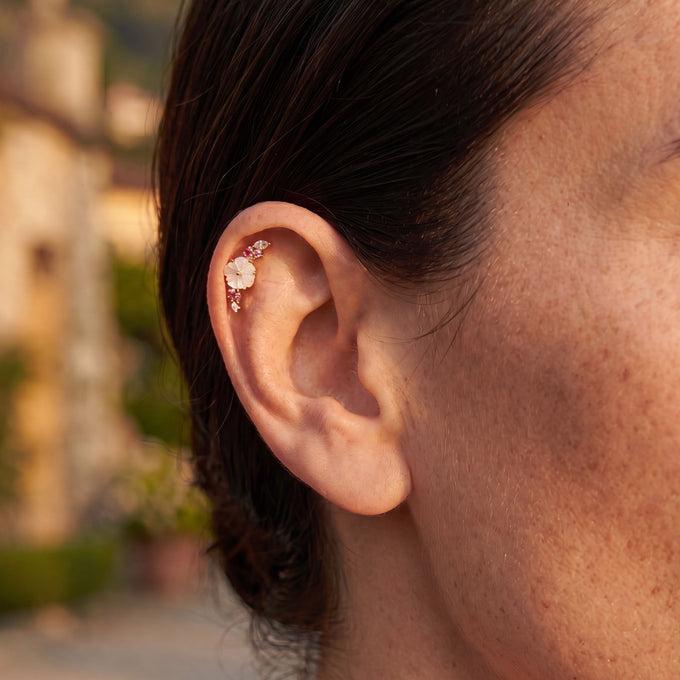 Piercing Alba